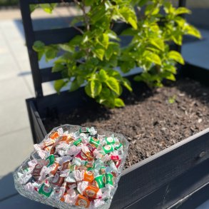 Karameller til sidste skoledag