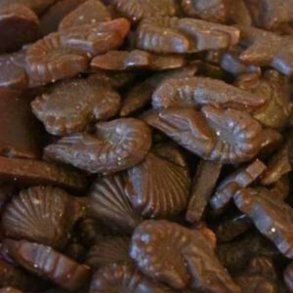 Candy Salte Sskaller Sukkerfri 1 kg ca. 230 stk.